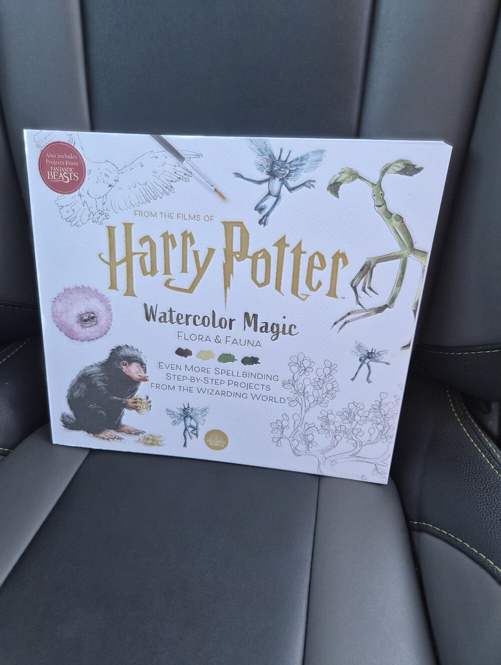 Harry Potter Watercolor Diy W10.5Magic Wall Art - White Warner Bros.